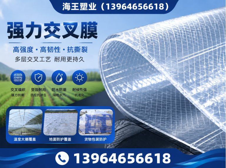 潍城区镀铝膜展示图